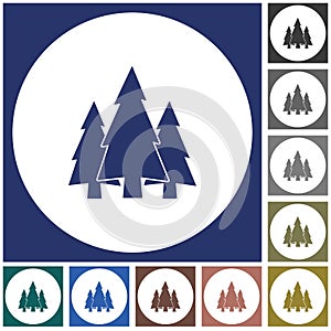 Fir Trees forest icon