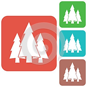 Fir Trees forest icon