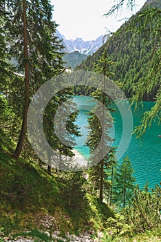fir trees in front of lake in mountains