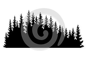 Fir trees silhouette. Coniferous spruce horizontal background pattern, black evergreen woods vector illustration