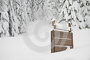 Fir trees with snow and sign on right