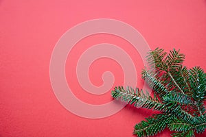 Fir twig fresh against red color background