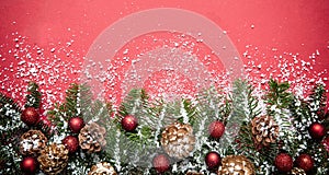 Fir twig fresh against red color background, banner