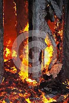 Fire in an abandoned house detail