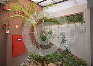 Fire and alarm. Wooden decor in a luxury resort with a small garden with natural plants native to Brazil. Stones and Boulders.