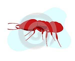 Fire Ant