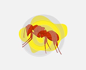 Fire Ant Vector