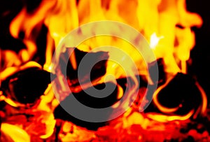 Fire Background. Burning wood and glowing embers. Blurred focus