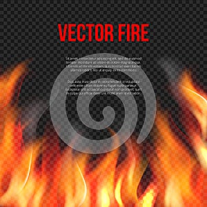 Fire background. Light of blazing flame on transparent background vector explosion vector template