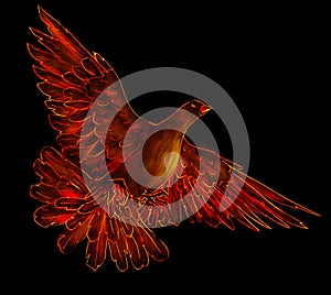 Fire bird - phoenix