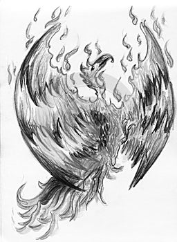 Fire bird - phoenix
