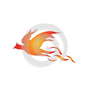 fire bird phoenix logo design vector illustrations graphic photo