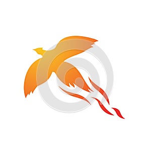 fire bird phoenix logo design vector illustrations graphic photo