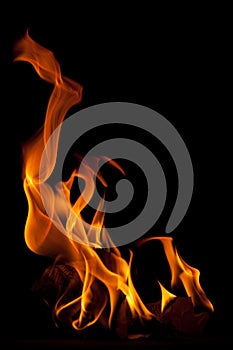 Fire on a black background