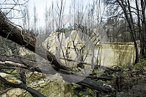 After the fire in the Boco village