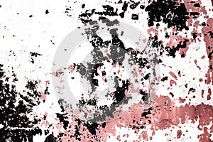 After the fire in the Boco village