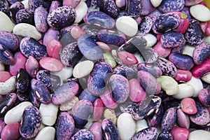 After the fire in the Boco village