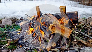 fire bonfire winter woods firewood flames