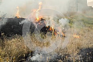 fire buring grass in country Thailand