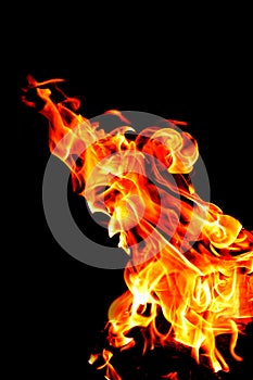Fire burning on a black background. Texture of fire, flame on a dark background. Hot flame of red-yellow color. Isolated on a blac