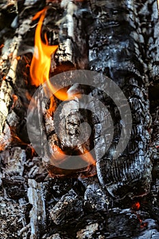 Fire. Burning charcoal.