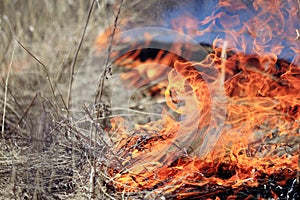 Fire burning dry grass