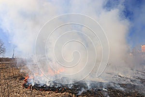 Fire burning dry grass dangerously