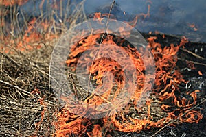 Fire burning dry grass dangerously