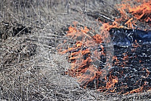 Fire burning dry grass dangerously