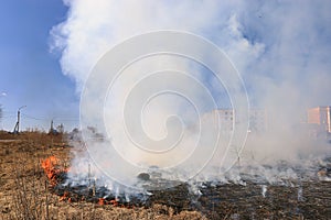 Fire burning dry grass dangerously