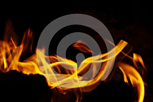 Fire burning dry grass dangerously