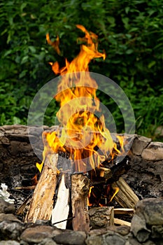 Fire burning in the fireplace in the nature or in the grill.