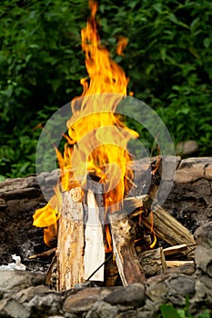 Fire burning in the fireplace in the nature or in the grill.