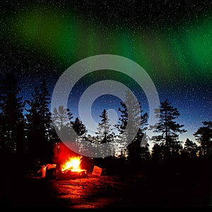 Fire burning at night in a forest