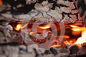 Fire is burning among wood closeup background