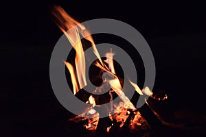 The fire is burning with wood images