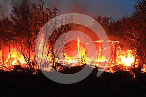 The fire is burning wooden house