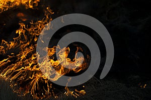 Un fuoco brucia attraverso l'inverno secco erba a Johannesburg, in Sud Africa.