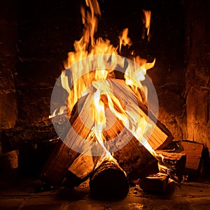 A fire burns in a fireplace  Fire to keep warm