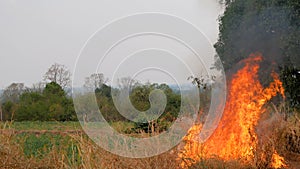 The fire that burns the grass will spread to the forest. Which will cause great damage and danger