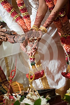 Fire ceremony at a Ceylonese Hindu wedding