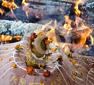 Fire ceremony with offers of only vegetable origin during Guru P