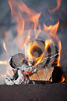 Fire with charcoals. Burning wood. Macro. Live flames with smoke. Wood with flame for barbecue and cooking bbq.