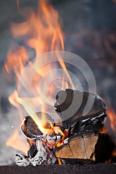 Fire with charcoals. Burning wood. Macro. Live flames with smoke. Wood with flame for barbecue and cooking bbq.