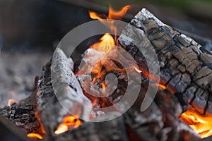 Fire with charcoals. Burning wood. Macro. Live flames with smoke. Wood with flame for barbecue and cooking bbq. Bright color.