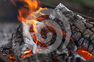 Fire with charcoals. Burning wood. Macro. Live flames with smoke. Wood with flame for barbecue and cooking bbq. Bright color.