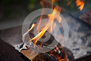 Fire with charcoals. Burning wood. Macro. Live flames with smoke. Wood with flame for barbecue and cooking bbq.