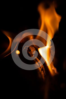 Fire close-up and red orange yellow color detail texture and abstract shape on black background