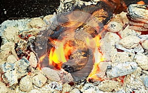 Fire. Closeup of pile wood burning with flames