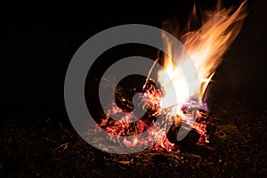 Fire on dark background.Fire Burning wood at night. Campfire of touristic camp in the mountains